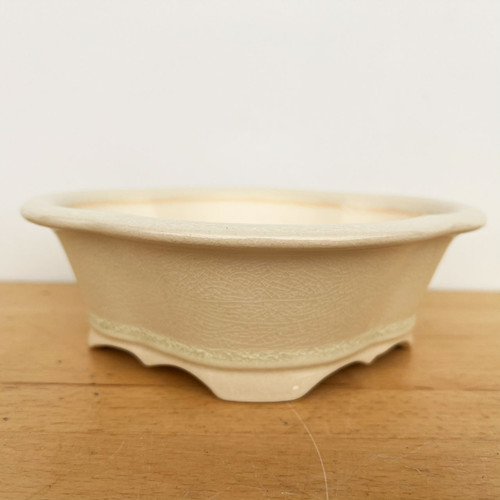 8 inch Yixing bonsai pot in a glossy cream glaze, No. 2510c
