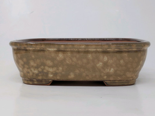 An image of a 6-inch glazed Yixing bonsai pot, showcasing a classic rectangular shape with soft, rounded corners and a slightly flared rim. The ceramic pot features a beautiful, mottled earth-tone glaze in shades of tan and golden brown, accented with cream-colored speckles that create a natural, textured, "egg-shell" appearance. The pot sits on a recessed base that forms two sturdy feet on the front and back for stability and drainage. The smooth, glossy finish of the exterior is contrasted by a solid dark brown rim, while the unglazed interior shows the authentic reddish-brown Yixing clay. This elegant and durable pot is displayed against a clean, white background, highlighting its suitability for small deciduous or evergreen bonsai trees.