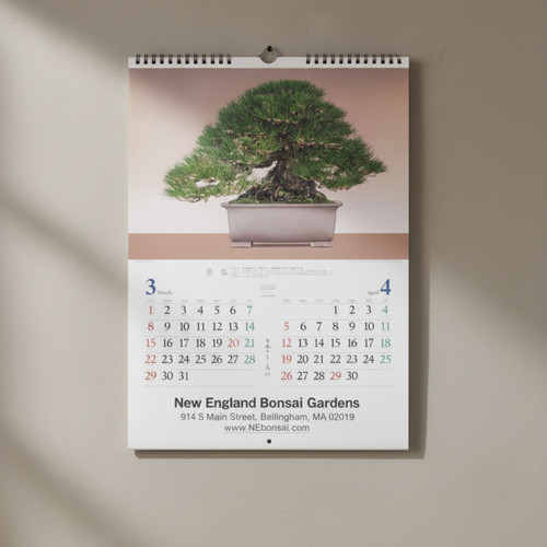 2026 Limited Edition Bonsai Wall Calendar | Bonsai Outlet