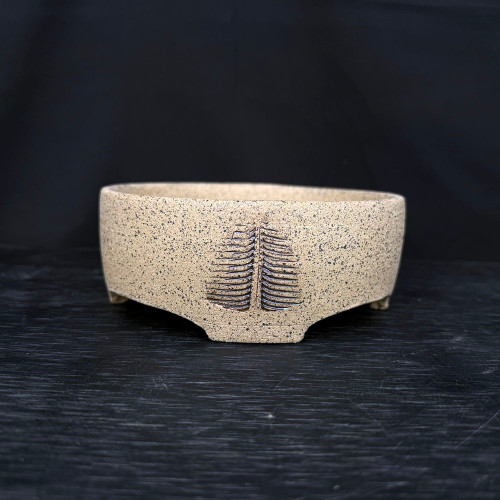 A front-facing, high-angle shot of a handcrafted ceramic bonsai pot by artist Andrew Arnault. The pot features a rounded, shallow design with a light tan or beige base color and a dense, fine black speckling that gives it a natural, sandy, or stone-like texture. Centered on the front face is a minimalist, incised decoration of a stylized evergreen tree. The tree design is composed of deep, dark brown horizontal lines branching out from a central vertical trunk, forming a triangular shape. The pot rests on four small, integrated feet that elevate it slightly from the dark, textured surface it sits on. The background is a solid, deep black, which makes the earthy tones and artisanal details of the professional bonsai pottery stand out.