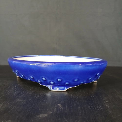 A side-view photo of a shallow, oval-shaped ceramic bonsai pot with a striking cobalt blue glazed finish. The exterior wall is decorated with a row of small, raised bumps or "beads" that encircle the lower perimeter, adding a subtle texture to the glossy surface. The pot is supported by four delicate, curved feet, and the interior is coated in a contrasting white glaze. It is displayed on a dark, textured tabletop against a neutral, dark gray background, emphasizing the pot's rich color and elegant design.