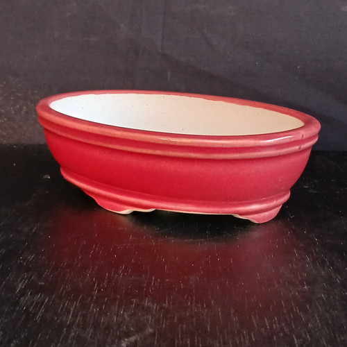 6" Red Glazed Yixing Bonsai Pot (No. 1911)
