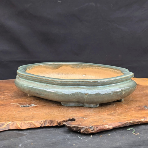 An elegant, shallow, oval-shaped Yixing bonsai pot is showcased in a side-angle photograph. The ceramic planter features a glossy, sea-foam green glaze with a soft, reflective finish and subtle crazing. It has a classic double-lipped rim and a lobed silhouette, resting on four small, decorative cloud-style feet. 

The interior of the pot remains unglazed, revealing the natural, light yellowish-tan color of the clay. This high-quality bonsai pot is positioned on a weathered, live-edge wooden board that sits against a dark, textured background. The lighting highlights the smooth curves and polished surface of the glazed ceramic, making it an ideal choice for displaying a mature bonsai tree or a collection of succulents.