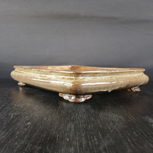 A detailed, eye-level three-quarter view of a 12-inch shallow rectangular Yixing ceramic bonsai pot. The pot features a rich, high-gloss glaze with a mottled blend of golden-tan and deep earthy-brown tones, giving it a natural, stone-like appearance. Its shallow, low-profile design is characterized by a wide, flat top rim and a subtly outward-curving body. At each corner, the pot is supported by decorative, stylized cloud-shaped (ruyi) feet that elevate it slightly off the surface. The ceramic planter is resting on a dark, wood-grained tabletop, with its glossy surface reflecting the light. The background is a solid, neutral charcoal gray, which emphasizes the warm colors and elegant craftsmanship of the bonsai container.