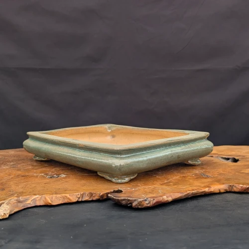 12-Inch Angle View Shallow Glazed Rectangle Yixing Ceramic Bonsai Pot (No. 2534k)