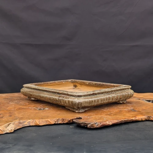 12-Inch Shallow Glazed Rectangle Yixing Ceramic Bonsai Pot Angled View