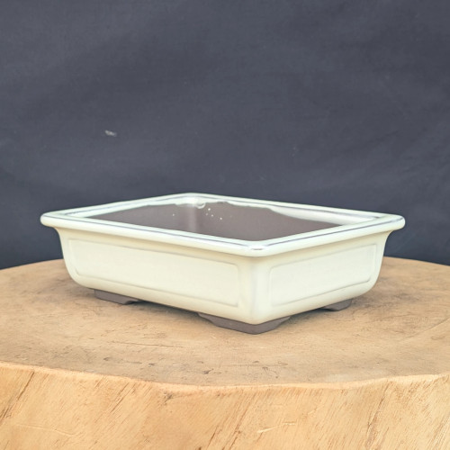 A rectangular seven-inch cream glazed bonsai pot rests on a thick, light-toned wooden pedestal. The planter features a smooth, glossy cream-colored exterior with a decorative recessed rectangular panel on the front side and a subtle lip around the top rim. The interior and the four small blocky feet of the pot are an unglazed, earthy dark brown ceramic. The pot is centered in the frame against a solid dark gray backdrop, highlighting its elegant shape and neutral color palette.