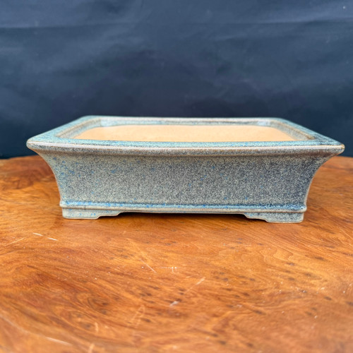 An 8.5-inch rectangular bonsai pot from the Seizan Kiln, handcrafted by artist Reiho (Katsushi Kataoka). The pot is finished in a beautiful blue speckled glaze, showcasing a mixture of muted blue-grey tones with darker blue and white flecks that give it a sophisticated, textured appearance. It has a traditional rectangular shape with sides that gracefully flare outward towards a wide rim. A subtle horizontal ridge lines the base, which sits on four small, sturdy feet. The interior is unglazed, showing the natural buff-colored clay. The pot is positioned on a polished, warm-toned burl wood surface that highlights its cool colors, with a plain dark background providing a clean contrast.