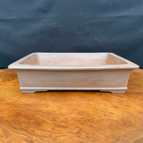 A detailed view of a 9.75-inch Reiho shallow unglazed rectangle bonsai pot, expertly crafted by Katsushi Kataoka of the Seizan Kiln. The pot is made from a warm, earthy reddish-brown clay with a matte, unglazed finish that shows subtle variations in texture and a soft grayish patina. Its design features a slightly flared top rim and a thin, recessed decorative band encircling the lower portion just above the base. Four integrated corner feet lift the pot slightly, creating small, elegant arches along the bottom edges. The pot is presented on a highly polished, warm-toned burled wood surface against a contrasting dark, solid background, highlighting its clean lines, elegant proportions, and traditional Japanese craftsmanship.