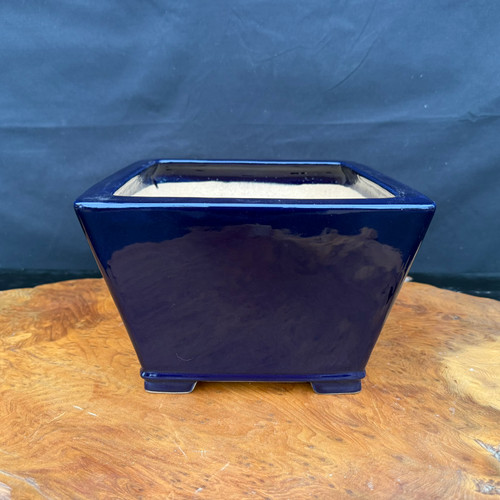 8.75 inch dark blue square cascade bonsai pot by Reiho, Seizan Kiln