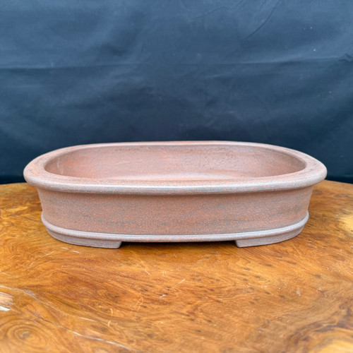 A professional product photograph of a 12.25-inch Reiho shallow unglazed oval bonsai pot, handcrafted at the Seizan Kiln by renowned artist Katsushi Kataoka. The stoneware pot is made from a warm, earthy reddish-brown clay with a fine, granular texture and subtle darker speckling throughout. Its design features a classic oval shape with a shallow profile, a thick, rounded rim that flares slightly outward at the top, and a coordinating raised decorative band wrapping around the lower section. The pot is supported by small, integrated block feet. It is displayed on a polished, warm-toned burl wood surface that showcases intricate swirling grain patterns. The entire scene is set against a solid, dark matte background, which provides a sharp contrast that highlights the pot's elegant form and natural finish.