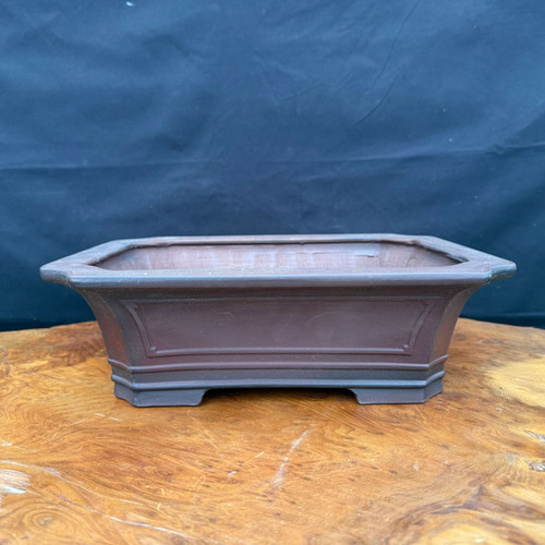 12 inch Bigei Tokoname rectangular bonsai pot in dark chocolate brown, flared rim
