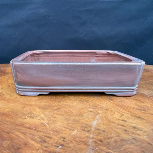 7.5 inch Bigei Tokoname rectangular bonsai pot in a metallic brownish purple glaze