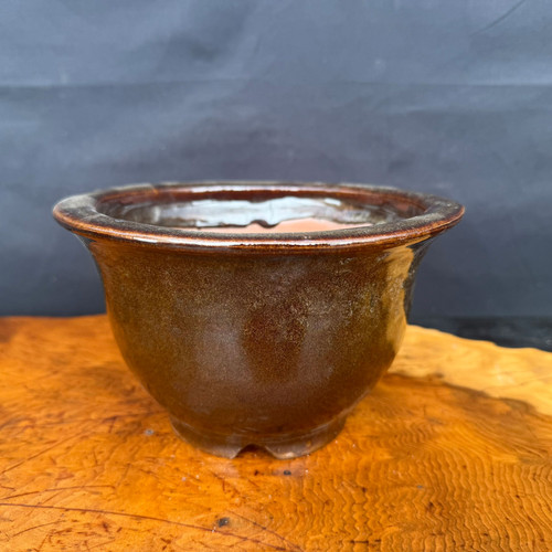 Shuho handmade round flared brown glazed bonsai pot front view
