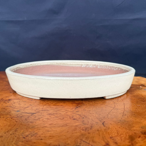 11.75 inch Yamafusa cream oval Tokoname bonsai pot front view