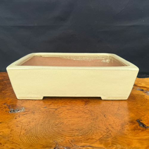 12 inch Yamafusa cream rectangle Tokoname bonsai pot front view