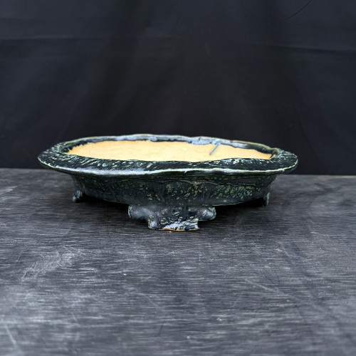 11" Textured Oval John Fazzino Bonsai Pot in Deep Green Lava Glaze (No. 50)