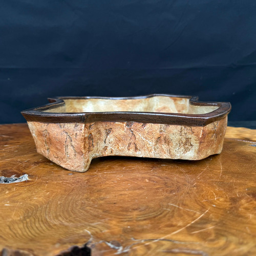 9-inch Mokko Wood-Fired Handmade Bruce Lenore Pot (No. 160)