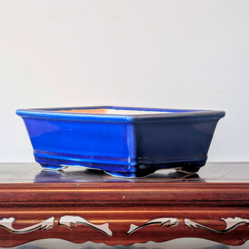 A rectangular, vibrant cobalt blue glazed ceramic bonsai pot sits atop a polished, dark reddish-brown wooden display stand. The pot features slightly flared sides and four small, sturdy "cloud-style" feet. A subtle, lighter blue or white line runs along the bottom edge just above the feet, accentuating the pot's shape. The glaze has a rich, glossy finish with slight variations in color depth, appearing deeper in the corners and along the base. The wooden stand beneath it has traditional, ornate fretwork carvings visible along its lower edge. The entire scene is captured from a side-angle view against a plain, neutral off-white background, which highlights the bold colors and clean lines of the pot and stand.