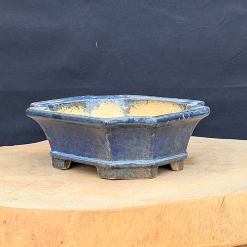 7-Inch Glazed Yixing Bonsai Pot (No. 2411)