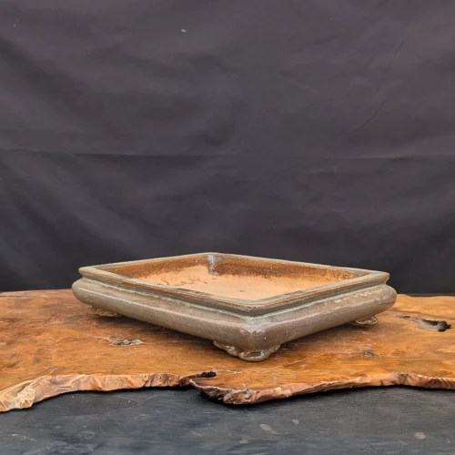 12 inch shallow rectangular glazed Yixing bonsai pot, angled view, No. 2534p