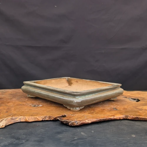 12-Inch Shallow Glazed Rectangle Yixing Ceramic Bonsai Pot Angled View