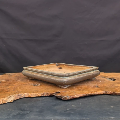 12 inch shallow rectangular glazed Yixing bonsai pot, angled view, No. 2534s