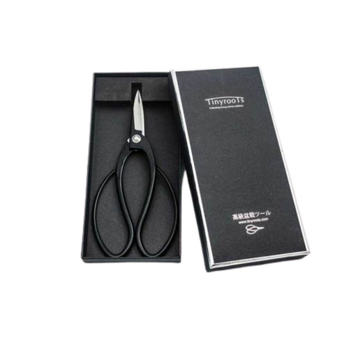 A set of professional Tinyroots carbon steel butterfly bonsai shears, featuring their iconic large looping black handles and sharp precision blades. The shears are shown resting in their dedicated black gift box, which bears the Tinyroots brand name and Japanese characters, highlighting their quality as a specialized tool for bonsai maintenance.