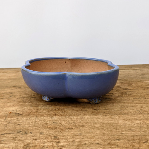 6 inch blue glazed Yixing bonsai pot in a five-lobed oval shape, No. 261-2