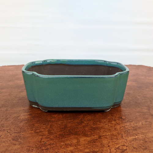 An elegant, teal-glazed Japanese Tokoname bonsai pot is centered on a polished, reddish-brown burl wood surface. This high-quality ceramic pot features a lobed rectangular shape with soft, scalloped corners. The exterior is finished in a smooth, vibrant teal-green glaze with subtle depth, which also covers the top rim. In contrast, the interior and the base of the pot, including four small integrated feet, are unglazed, revealing the natural dark-grey, charcoal-colored clay characteristic of authentic Tokoname stoneware. The composition is minimalist, set against a clean, out-of-focus white background that emphasizes the pot's rich color and artisanal craftsmanship. This artisanal container is specifically designed for showcasing small to medium-sized bonsai trees.
