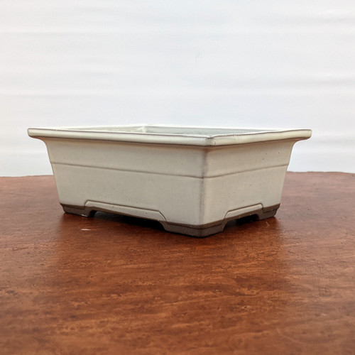 Tokoname cream glazed rectangular bonsai pot with subtle dark accents