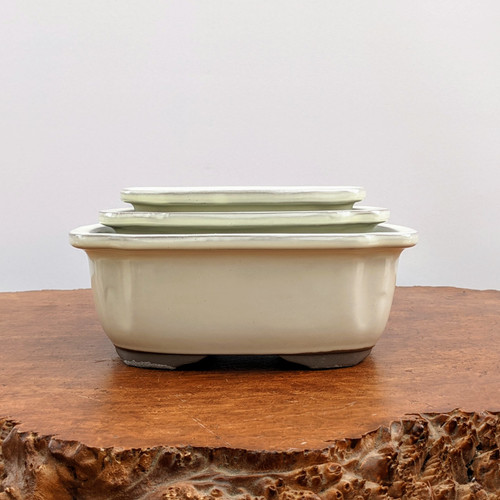 Three graduated cream glazed Tokoname pots on a live-edge wood slab