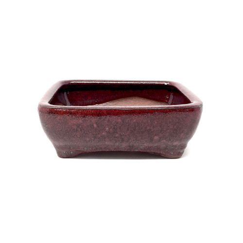 Small 6 Glazed Ceramic Bonsai Pot Bonsai Outlet