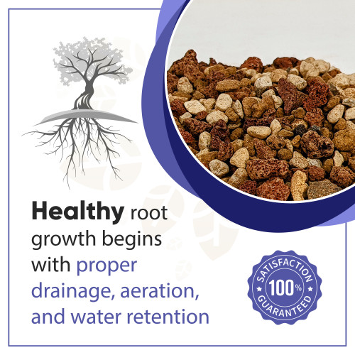 A promotional graphic for premium bonsai soil, featuring a clean design with blue and white accents. On the left, a grey silhouette of a stylized tree with an extensive, deep-reaching root system highlights the importance of underground health. To the right, a circular inset provides a close-up view of a gritty, well-draining soil blend, showing a mixture of small, porous volcanic rocks in earthy shades of reddish-brown, tan, and light grey, indicative of high-quality components like lava rock and pumice. 

Centrally located text in bold black and blue fonts reads, "Healthy root growth begins with proper drainage, aeration, and water retention," emphasizing the key benefits of this specialized substrate for bonsai trees. A blue circular seal in the bottom right corner states, "SATISFACTION 100% GUARANTEED," framed by white stars.