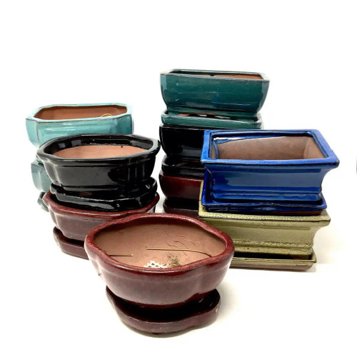 8” Glazed Bonsai Pot and Tray