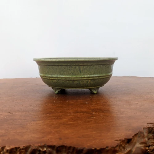 7 inch round Yixing glazed succulent dish in a mottled olive green, no drainage