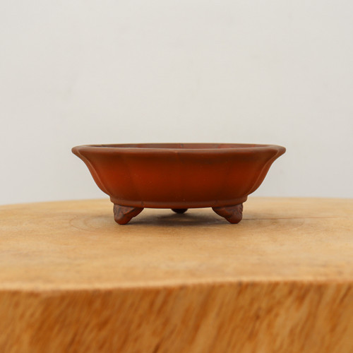 An eye-level studio photograph of a 4-inch unglazed Yixing bonsai pot resting on a light-colored wooden surface. The pot is made from a rich, reddish-brown terracotta-colored clay with a matte, unglazed finish characteristic of traditional Yixing pottery. 

Its design is shallow and rounded, featuring subtle vertical ridges that create a lobed or scalloped effect around the exterior, giving it a flower-like silhouette. The rim of the pot is slightly flared, while the body tapers down to a set of small, decorative carved feet that elevate the container. The pot sits centrally on a thick, natural wood block with a visible grain, all set against a clean, neutral white background. This small ceramic container is specifically designed for miniature bonsai trees, providing the breathability and drainage needed for healthy root development.