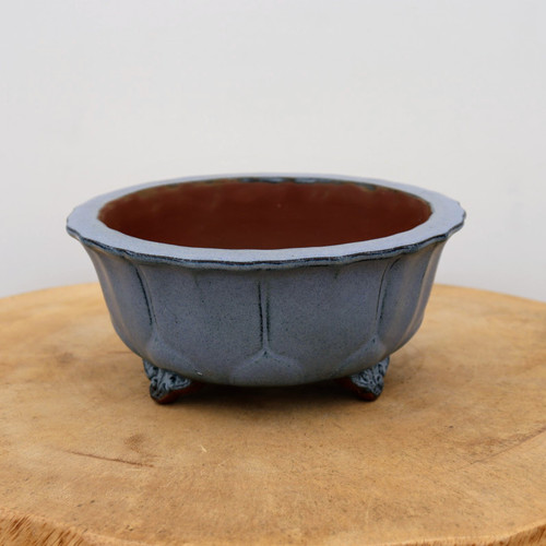 A detailed view of a Yixing YX905 glazed bonsai pot, showcasing its elegant and functional design. This shallow, round container features a matte, light grayish-blue glaze on the exterior, which contrasts with its unglazed, terracotta-colored interior. The pot's sides are artfully shaped with subtle vertical indentations that create a scalloped or petal-like effect around the rim. It is supported by three small, intricately detailed feet with textured carvings, visible at the base. The bonsai pot is positioned on a thick, natural light-colored wood slab against a clean, off-white background, highlighting the craftsmanship and classic aesthetic of this Yixing pottery piece.