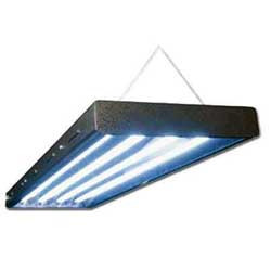 Six bulb T5 fluorescent grow light fixture in a matte black rectangular housing