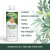 This image is a promotional graphic for Ho Yoku Liquid Bonsai Fertilizer, featuring a clean, white 8 fl oz bottle as the central focus. The product label prominently displays the name "Liquid Bonsai Fertilizer" alongside a balanced NPK ratio of 3-3-3. Above the text, a vibrant photograph shows a well-manicured, green bonsai tree, accented by the Ho Yoku brand logo—an orange circle containing a stylized white bird. 

Key product benefits are listed on the label in green text: "Promotes Healthy Green Growth," "Develops Strong Roots," "Feeds Instantly. Amazing Results," and "No Risk of Burning Roots." Small icons at the bottom of the label indicate the product is made in the USA and comes in a recyclable PET bottle with a 100% satisfaction guarantee. 

To the right of the bottle, a vertical list in bold, dark green capital letters highlights the fertilizer's versatility, noting its suitability for Deciduous, Broadleaf Evergreen, Conifer, Tropical, Temperate, Mediterranean, and Semi-Tropical trees. The overall design is framed by soft, watercolor-style green leaves and branches on the right side against a white background with subtle beige dots. A solid dark green banner at the bottom of the graphic reinforces the message in white capital letters: "SUITABLE FOR ALL TREES AND OTHER FLORA."