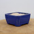 A detailed, three-quarter view of a small, square-shaped glazed bonsai pot in a vibrant, deep royal blue color. The pot features slightly outward-sloping sides, rounded corners, and four small, sturdy feet at the base. Its glossy blue exterior finish has subtle variations where the lighter ceramic body shows through at the edges and feet. The interior of the pot is unglazed, revealing a pale, off-white clay material, providing a porous surface ideal for bonsai tree roots. The pot is positioned on a light-toned wooden surface against a plain, neutral background, highlighting its clean lines and rich color, typical of a high-quality ceramic bonsai container.