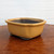 Rectangular mustard yellow glazed pot on reddish brown wood