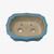 A top-down, slightly angled studio photograph of a rectangular ceramic bonsai pot with a light blue glaze. The pot features a 'mokko' style shape with elegantly scalloped edges and multi-lobed corners. While the exterior and the top lip of the rim are finished in a soft, sky-blue glaze with subtle speckling, the interior of the pot remains unglazed, showing a natural light beige clay color with fine dark grains. The base of the pot has two large circular drainage holes for water runoff and two smaller wire holes for securing a bonsai tree. The entire pot is set against a solid white background, emphasizing its clean design and traditional craftsmanship.