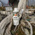 A close-up photograph features a 4-fluid-ounce white plastic bottle of Ho Yoku Premium Jin Seal resting on the gnarled, silvery-white deadwood of a large bonsai tree. The product label, prominently displayed, includes a circular orange logo of a stylized bird and describes the liquid as a superior deadwood whitening and preservation treatment. Leaning against the deeply textured, weathered wood next to the bottle is a long, clear-handled application brush with white synthetic bristles.

The base of the bonsai shows thick, gnarled roots and trunk sections, some wrapped with thin copper bonsai wire for shaping. Small patches of green moss grow amongst the dark soil and roots at the tree's base. The background is softly blurred, revealing the interior of a greenhouse or nursery with wooden workbenches, other bonsai pots, and a plant with delicate red berries, situating the product within a professional bonsai maintenance environment. This image illustrates the use of lime sulfur-based jin seal for the care and aesthetic enhancement of deadwood features like jin and shari on bonsai trees.