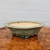 Roy Minarai oval bonsai pot displayed on a warm toned wood burl table