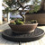 Juniper bonsai with a gnarled twisted trunk in a shallow unglazed pot