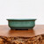 Green (oval) Glazed Bonsai Pot (7-11")