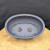 Top-down interior view of the dark gray oval plastic planter