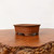 7 inch unglazed Yixing bonsai pot in reddish brown with vertical paneling