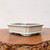 An elegant, rectangular white glazed bonsai pot is centered in the frame, resting on a polished, warm-toned wooden slab. This shallow ceramic bonsai container features a creamy off-white glaze with subtle, fine dark speckling throughout, giving the surface a sophisticated, textured look. The pot’s design includes a wide, slightly flared upper rim and decorative recessed panels at each corner, adding architectural depth. A horizontal ridge wraps around the lower portion of the pot, which is supported by four sturdy, low-profile feet that elevate the container. The interior of the pot shows a darker, unglazed clay body, contrasting with the smooth, glazed exterior. The pot is presented against a minimalist, clean white background, emphasizing its clean lines and traditional craftsmanship.